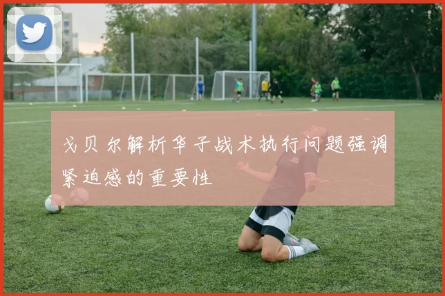 戈贝尔解析华子战术执行问题强调紧迫感的重要性